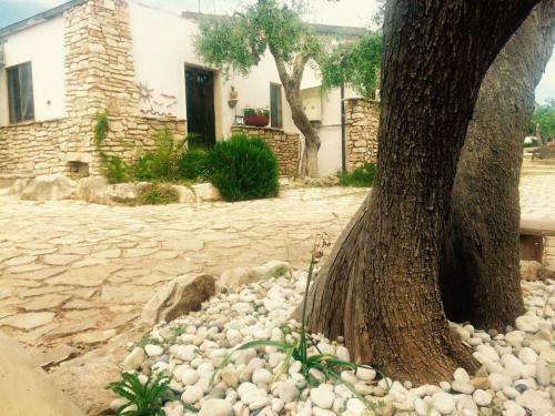 Casa Vacanze Ulivetum