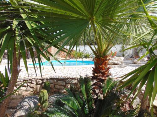 Casa Vacanze Ulivetum