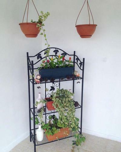 Apartament Balakhvani