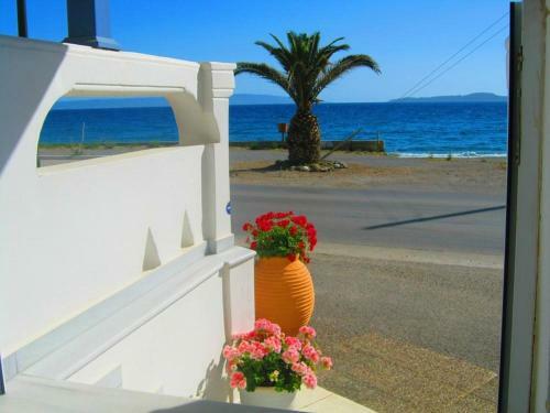 Hostal Neapoli Rooms