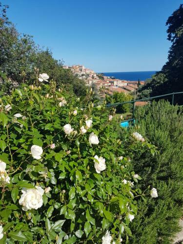 Villa Caterina