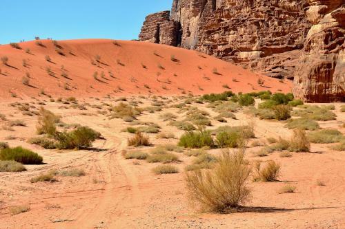 Bed & Breakfast Camp Mohamed Alzwaida
