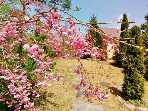 Posada Aromatic Garden Villa La Poltrona