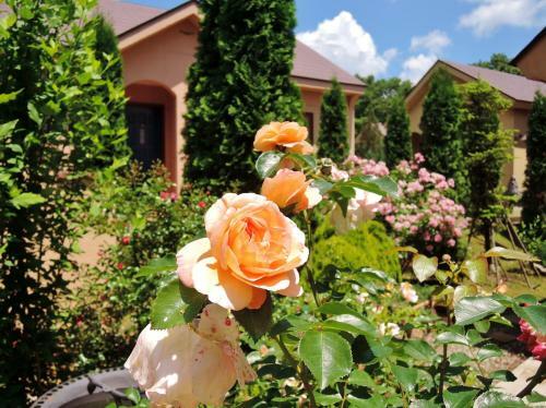 Posada Aromatic Garden Villa La Poltrona