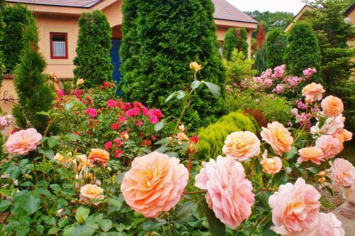 Posada Aromatic Garden Villa La Poltrona