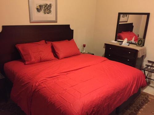 Suzan Studios & Apartments