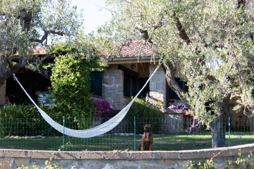 Hotel Il Borgo Centro Vacanze