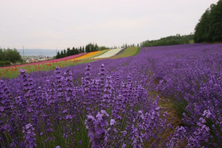 Furano Shiyuirin