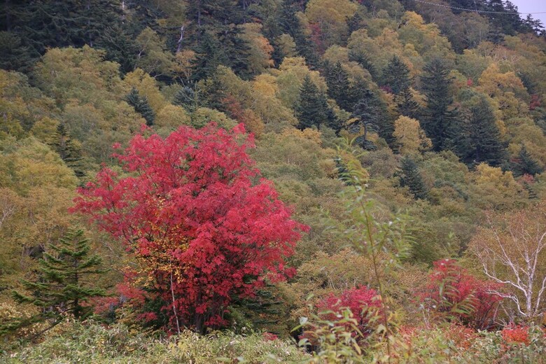 Furano Shiyuirin