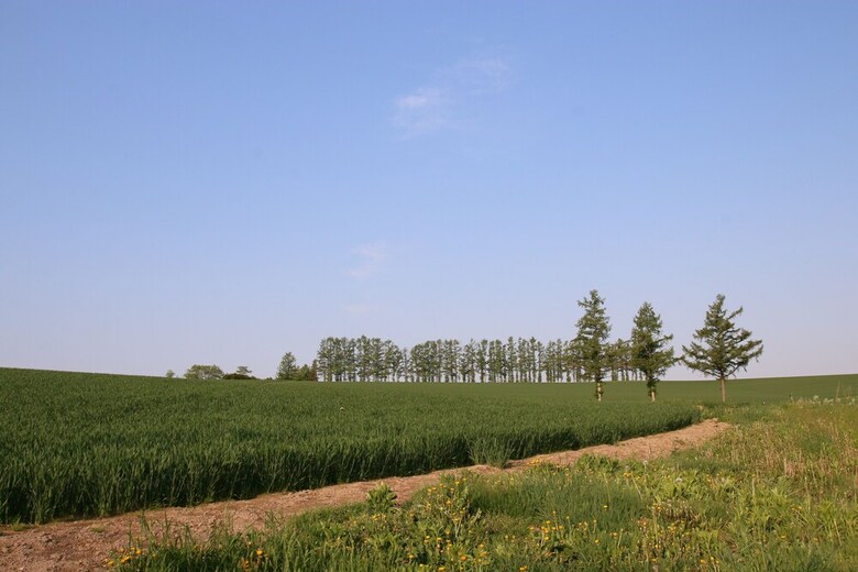 Furano Shiyuirin