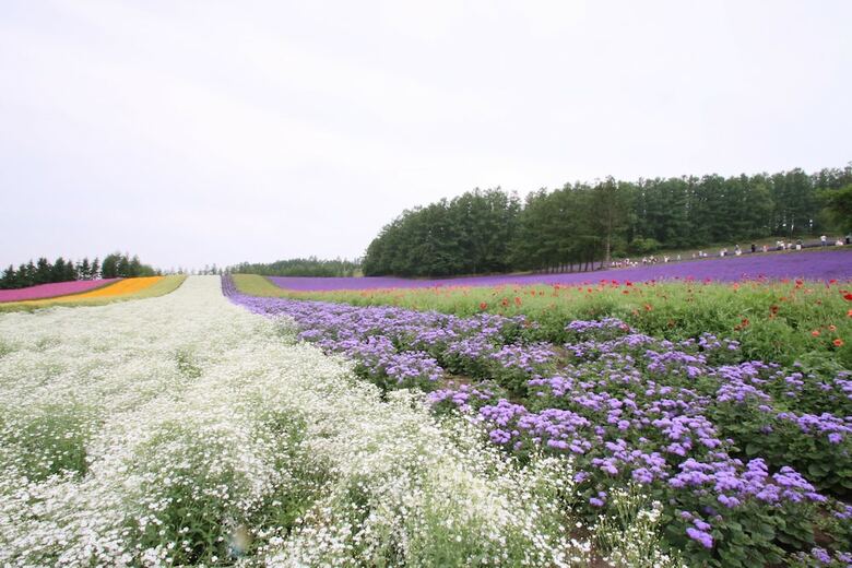 Furano Shiyuirin