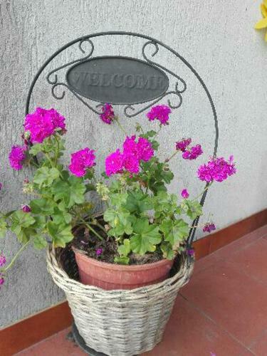 B&B La Luna E La Fortezza