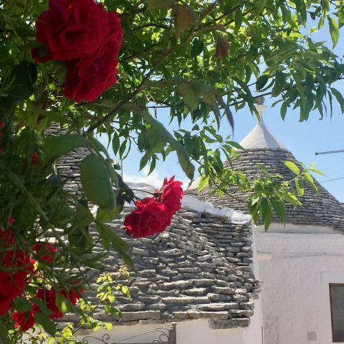 Trulli Vacanze In Puglia