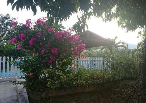 R�sidence Bougainvillee