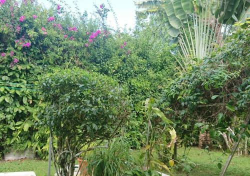 R�sidence Bougainvillee
