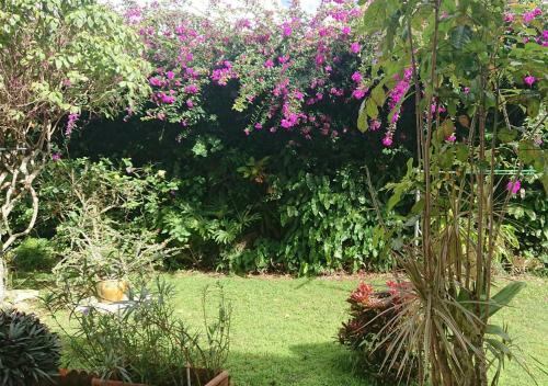 R�sidence Bougainvillee