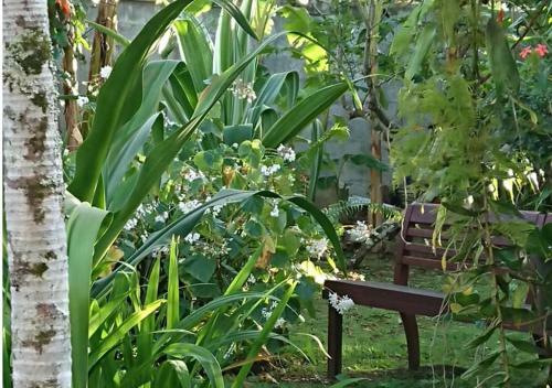 R�sidence Bougainvillee