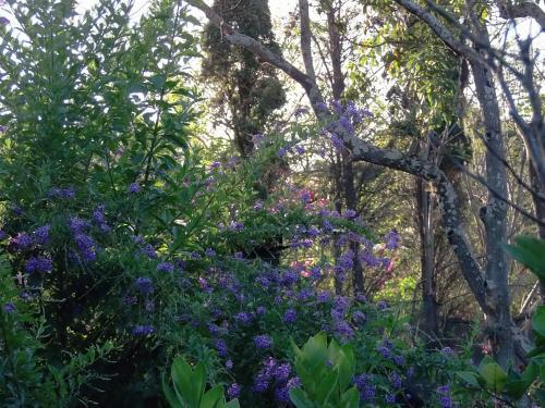 Bed & Breakfast Villa El Rosario