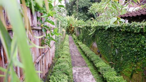 Hostal Junjungan Guesthouse