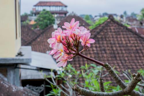 Hostal Bangbang Family House