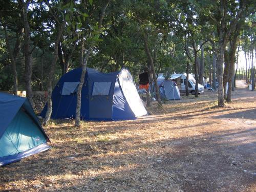 Villaggio Camping Bosco Selva