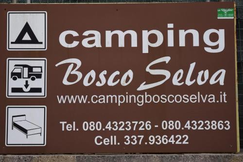 Villaggio Camping Bosco Selva