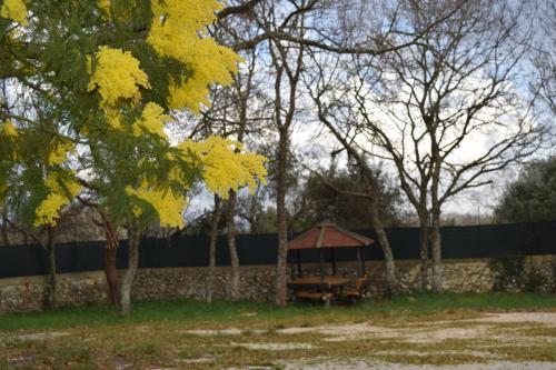 Villaggio Camping Bosco Selva