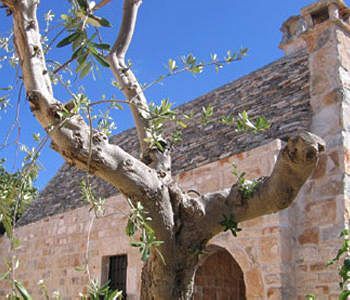 Bed & Breakfast Vacanza In Puglia