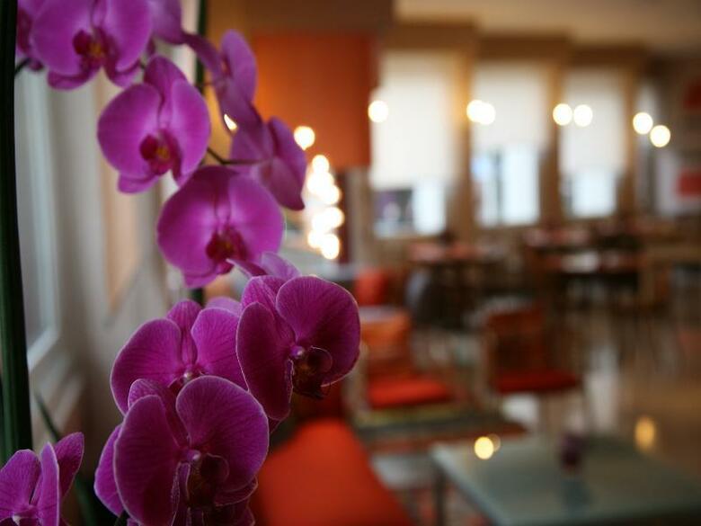 Park Hotel Meubl�