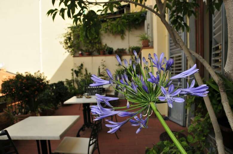Bed & Breakfast La Terrazza Su Boboli