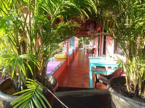The Yuppi Hippi Hostel
