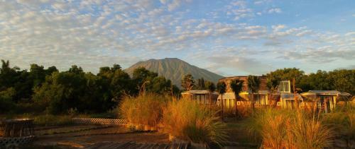 Hotel Bali Umah Tinjung
