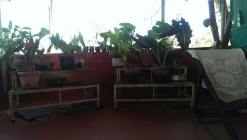Crystalica Home Stay
