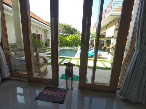 Hostal Waterborn Bali