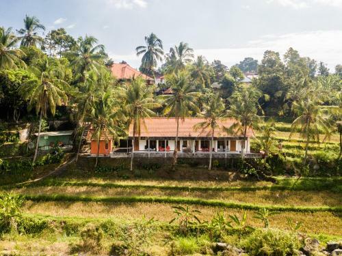 Hostal Lotus Guesthouse