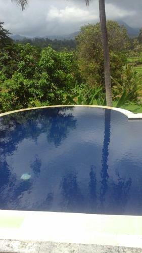 Hostal Lotus Guesthouse