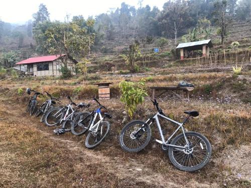 Agroturismo Palighar Farmstay