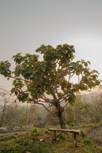Agroturismo Palighar Farmstay