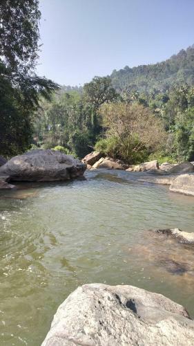 Thoppil Homestay Munnar