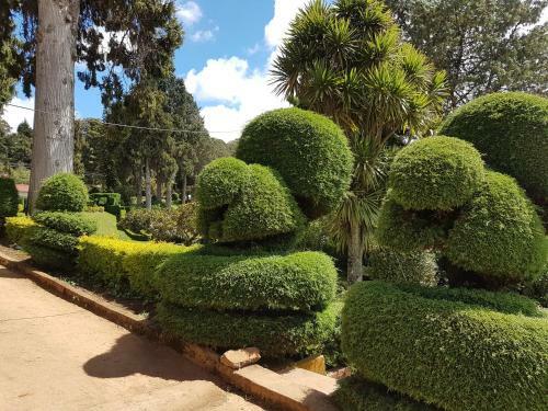 Hotel Mayura Sudarshan ,ooty