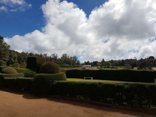 Hotel Mayura Sudarshan ,ooty