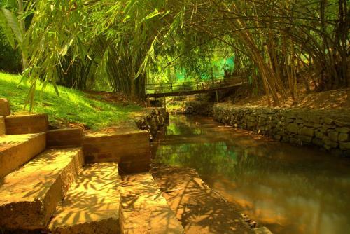 Hotel Bamboo Creek Resort