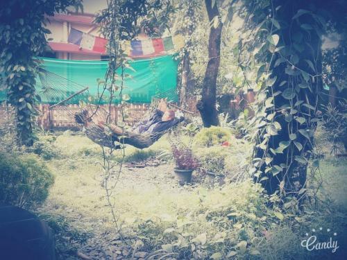 Orchid Homestay