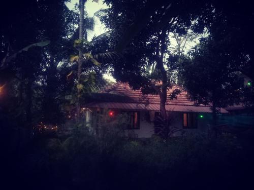 Orchid Homestay