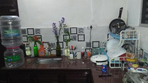 Orchid Homestay