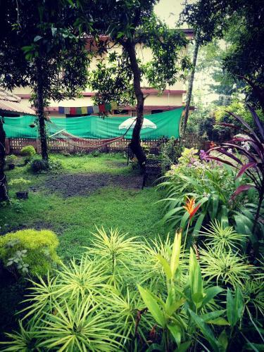 Orchid Homestay