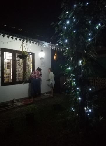 Orchid Homestay