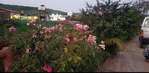 Bed & Breakfast Suman Cottage And Bungalow