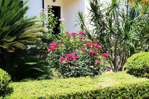 B&B Il Cavaliere
