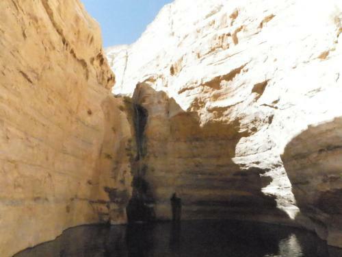 Bed & Breakfast Zimmer Lamidbar